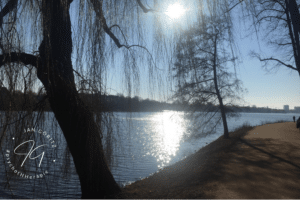 Glücklich sein - Glück - Sonne - Alster - Hamburg - Jan Göritz - Heilpraktiker für Psychotherapie, Psychologischer Berater, Psychotherapeut (HeilprG) in Hamburg