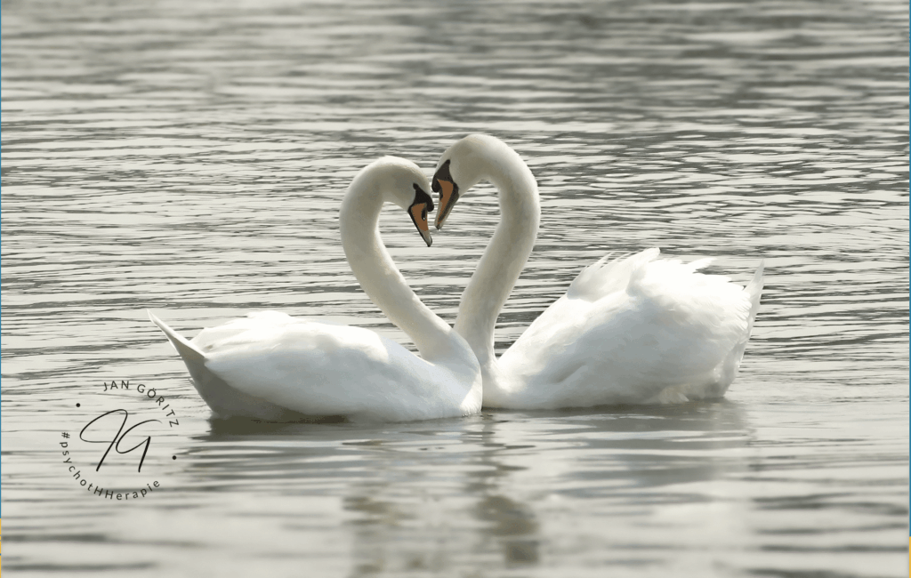 Liebe (Teil 2)