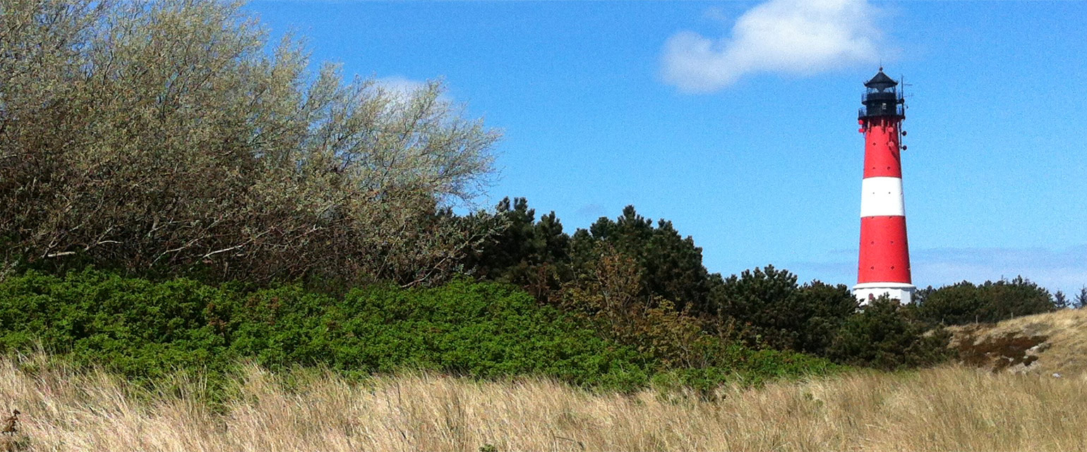 Unbenannt-3