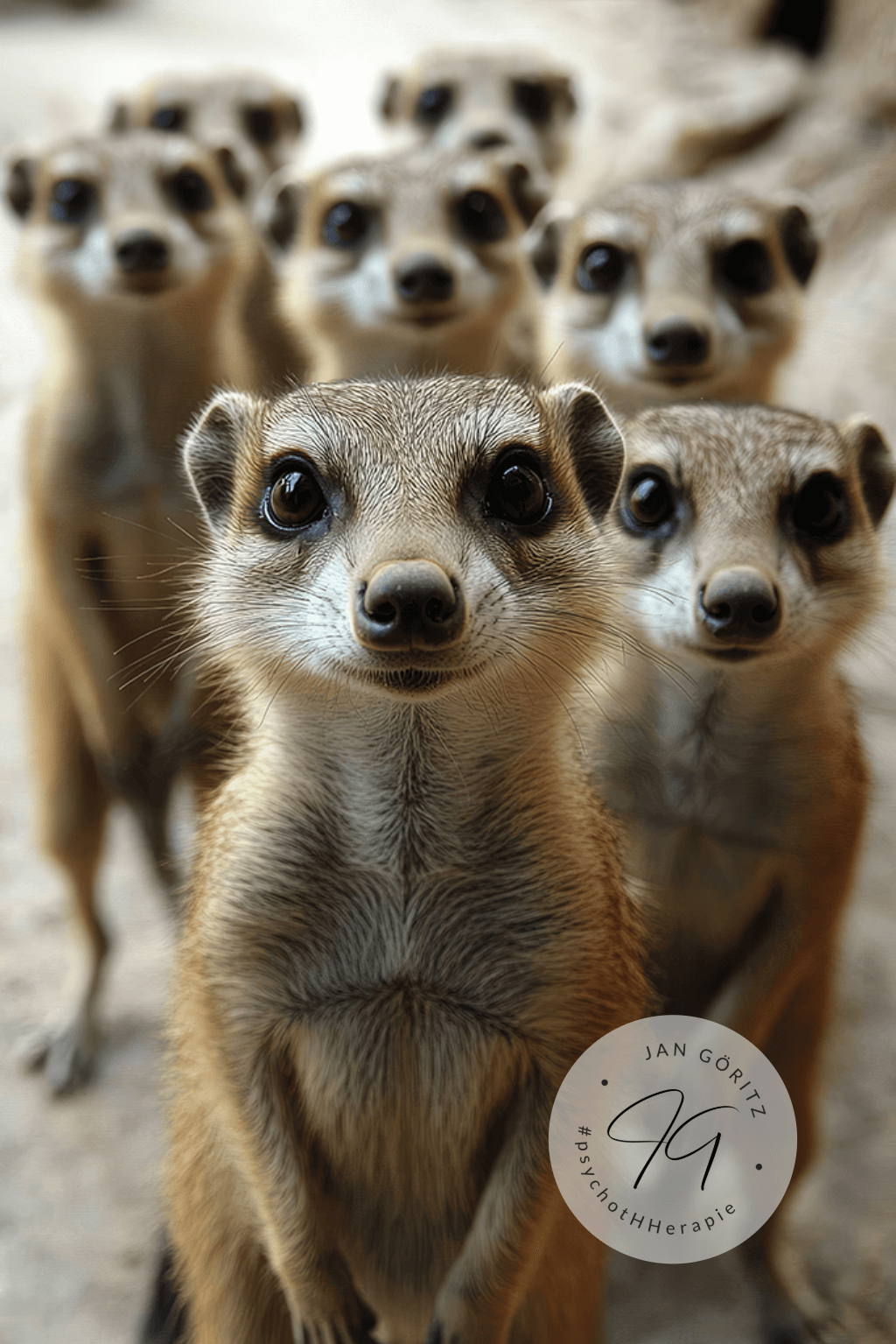 Anpassung Selbstverleugnung - Jan Göritz - Heilpraktiker für Psychotherapie, Psychologischer Berater, Psychotherapeut (HeilprG) in Hamburg Anpassung Selbstverleugnung - Jan Göritz - Heilpraktiker für Psychotherapie, Psychologischer Berater, Psychotherapeut (HeilprG) in Hamburg