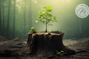 Zugehörigkeit Wachstum - Jan Göritz - Heilpraktiker für Psychotherapie, Psychologischer Berater, Psychotherapeut (HeilprG) in Hamburg